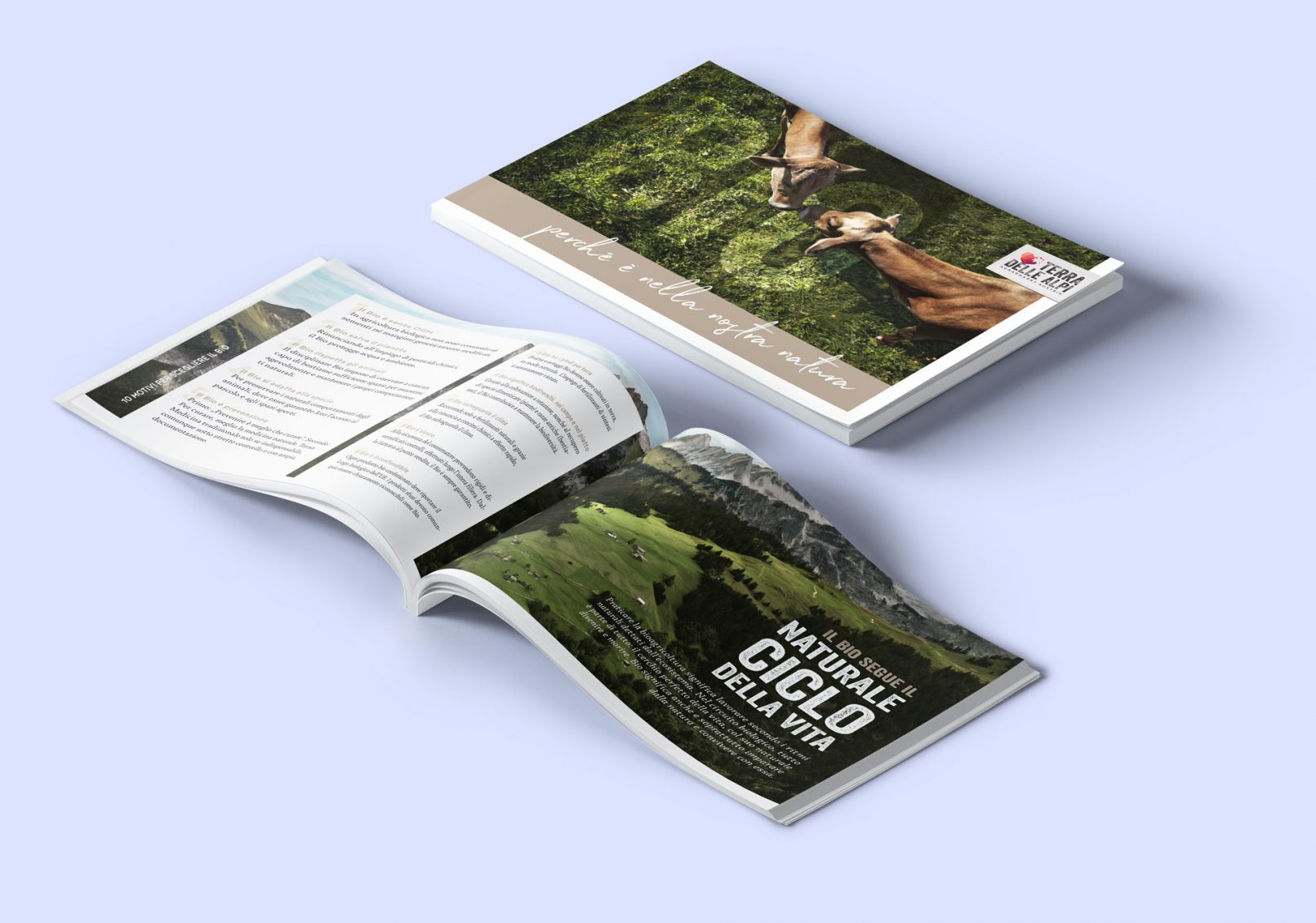 AMA global Broschüre